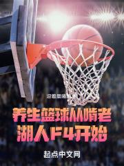 养生篮球专家小说
